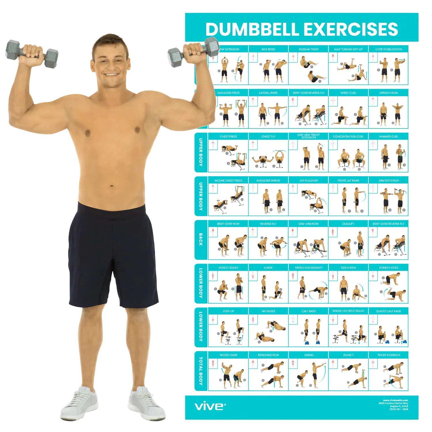 Vive Total Body Dumbbell Guide - Laminated Workout Poster